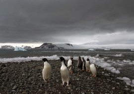 Antarctic Extreme Weather