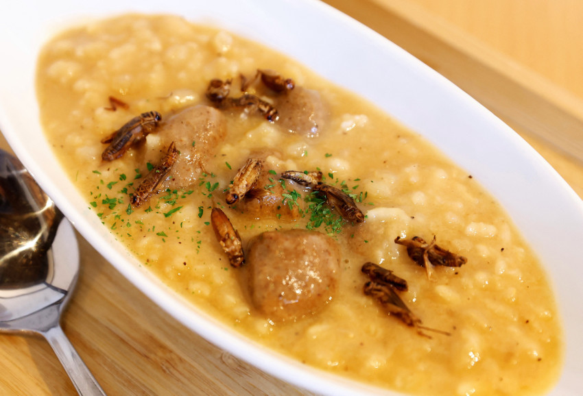 Cheese risotto with cricket meatballs